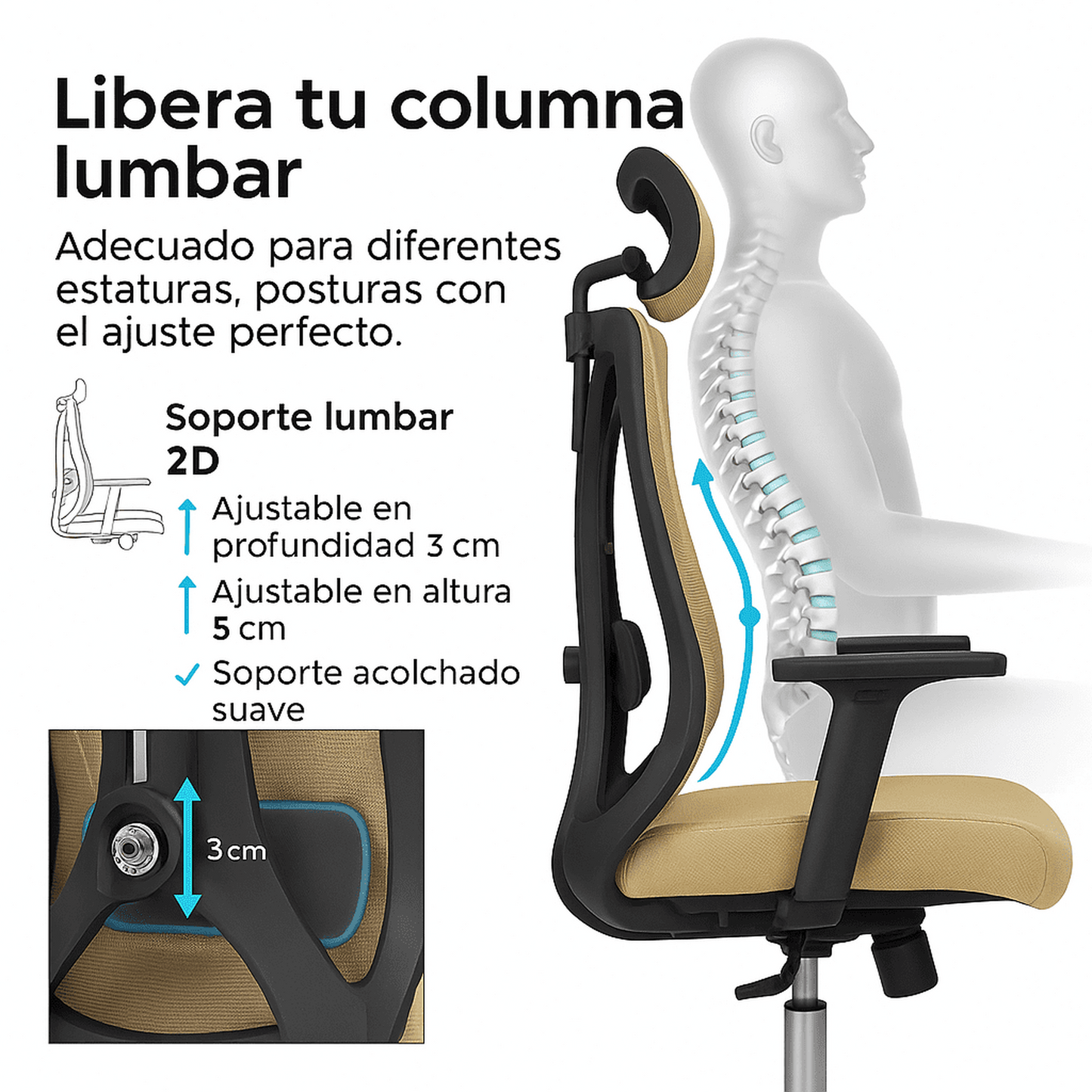 Silla de Oficina Ergonómica Prima-K con Soporte Lumbar 2D