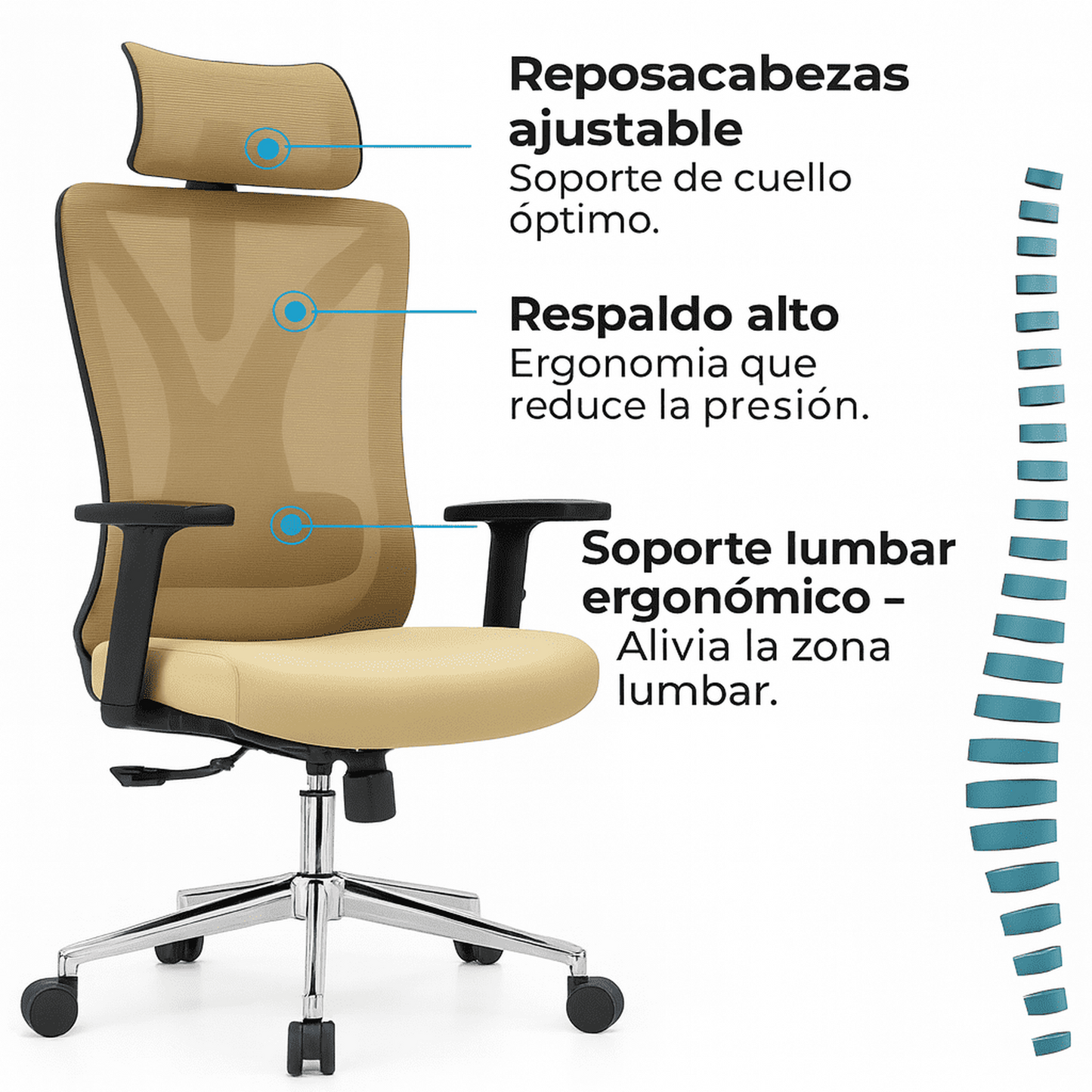 Silla de Oficina Ergonómica Prima-K con Soporte Lumbar 2D