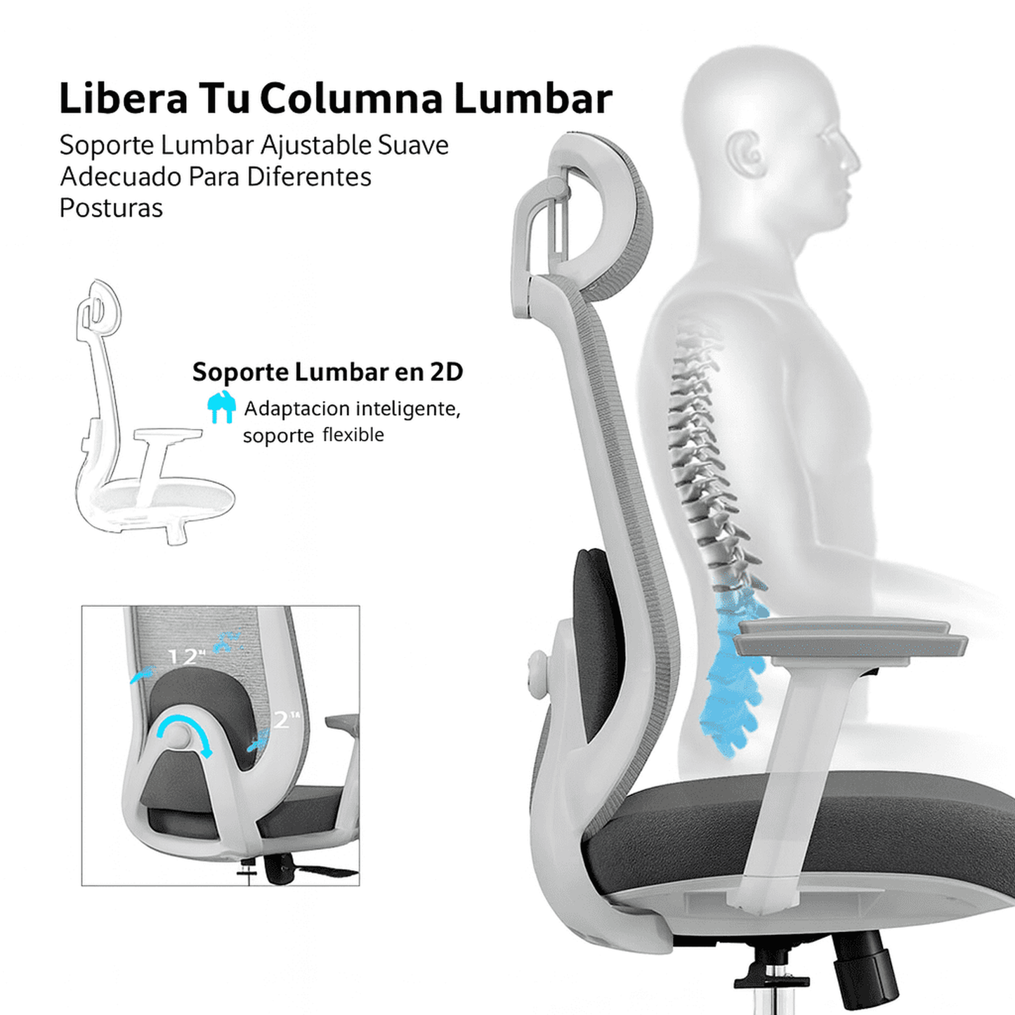 Silla de Oficina Ergonómica Vela-HW con Soporte Lumbar 2D
