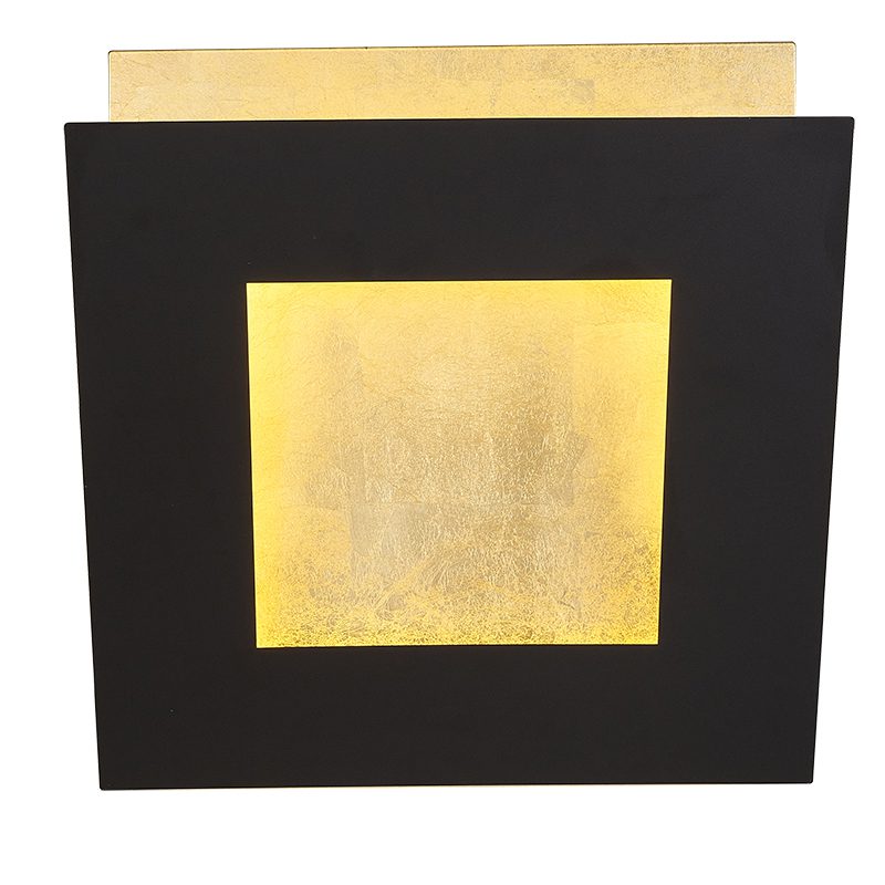 Dalia Vanguardia Edición 3