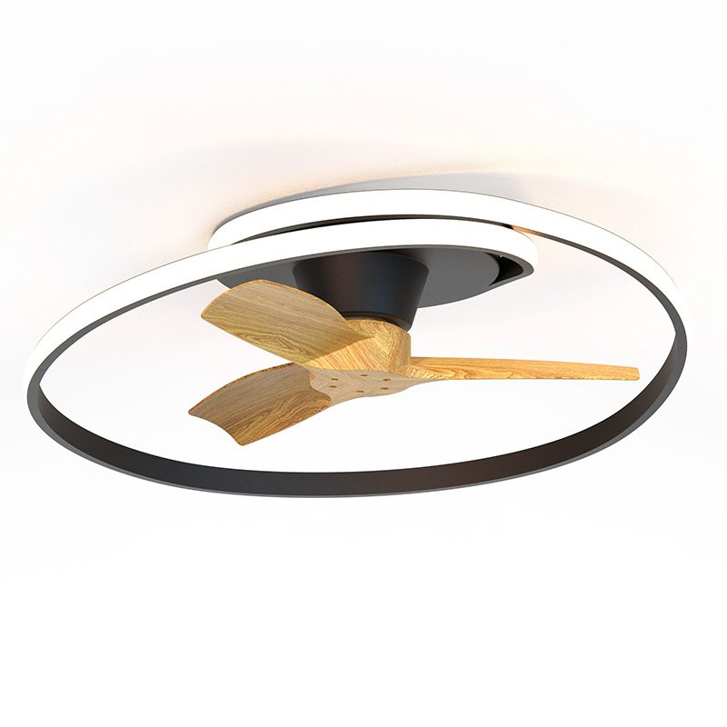 Ocean Contemporáneo